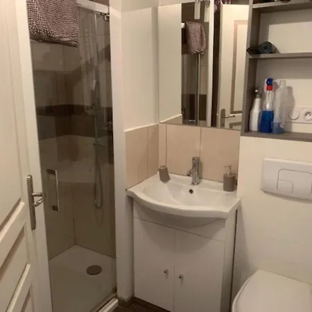 Agreable F3, Petite Terrasse, Wifi Illimite, Centre Du Mont-dore - Fr-1-415-105 *